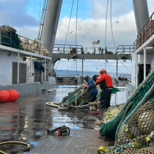 Two people organize fishing nets on the wet deck of a boat. Red buoys and a chainsaw are nearby. Seagulls fly in the background under a partly cloudy sky.